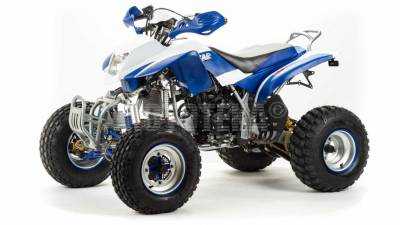 Квадроцикл MIC (Made in China) 250 DAKAR (машинокомплект)